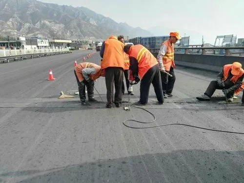 莲花道路桥梁病害治理